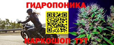 ешки Ярославль