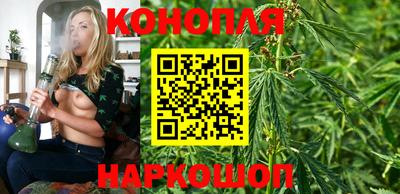 индика Шахты