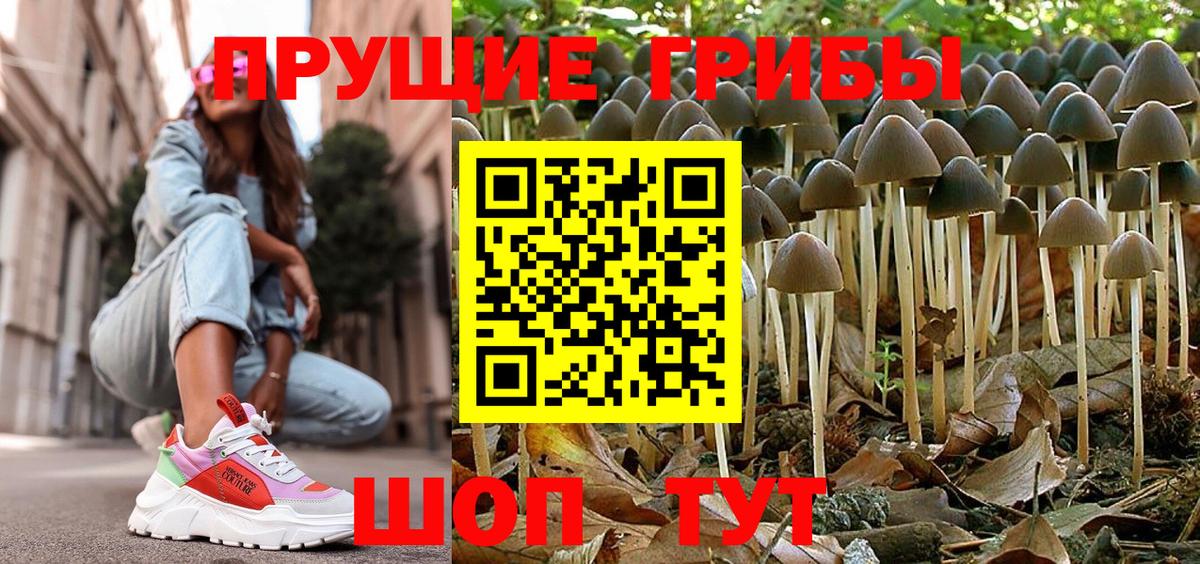 продажа наркотиков  Вход с VPN  Верхняя Пышма  Псилоцибиновые грибы Psilocybe 